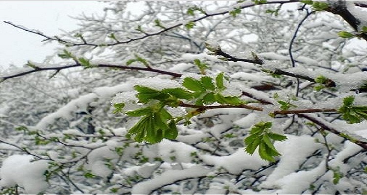 Снег обрушится на столицу РФ в конце мая