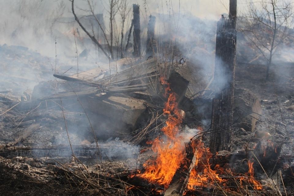 В Иркутской области устранили 28 лесных пожаров за сутки
