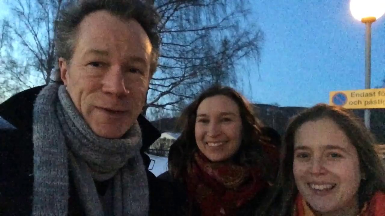 Приветствие! Folkjul! A Swedish Folk Christmas