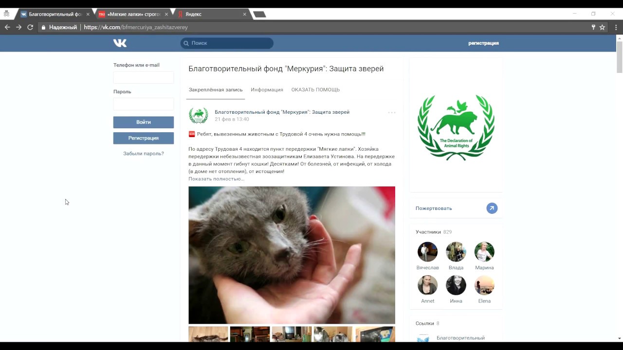 Видеоинструкция подачи заявления в МВД  в электронном виде о жестоком обращении с животными