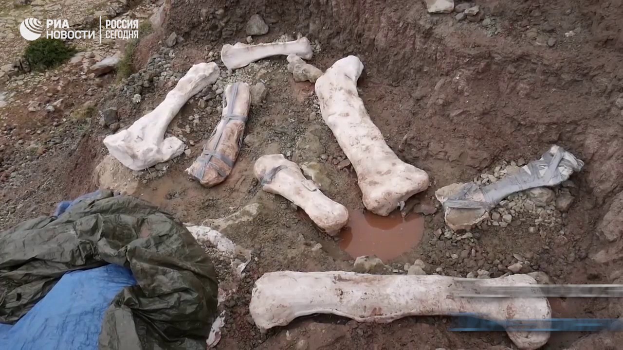 В Испании нашли останки динозавра