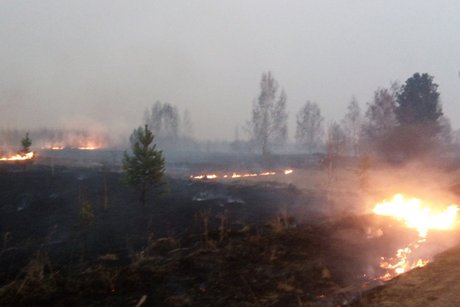 В Иркутской области 1 июня потушено восемь лесных пожаров