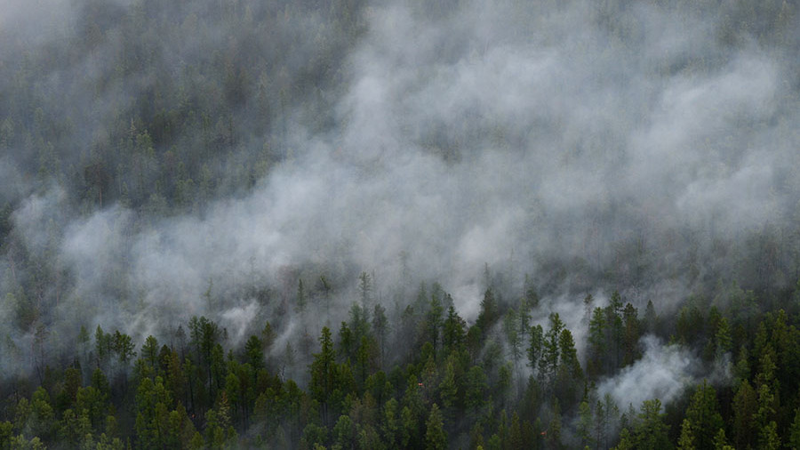 На далеком Востоке зарегистрировано около 60 лесных пожаров за последние сутки