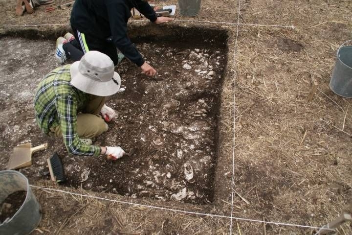 В Приморье археологи отыскали средневековый могильник чжурчжэней