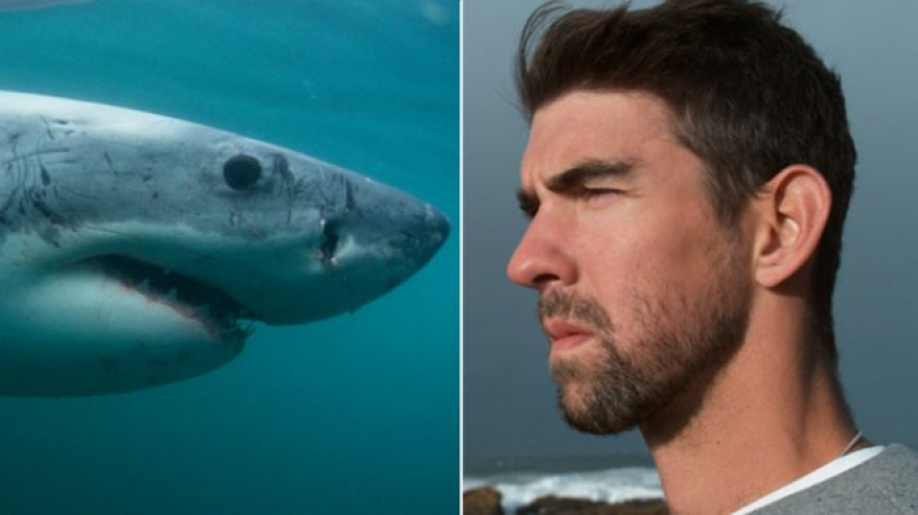 Пловец Майкл Фелпс попытался опередить акулу — Кто кого