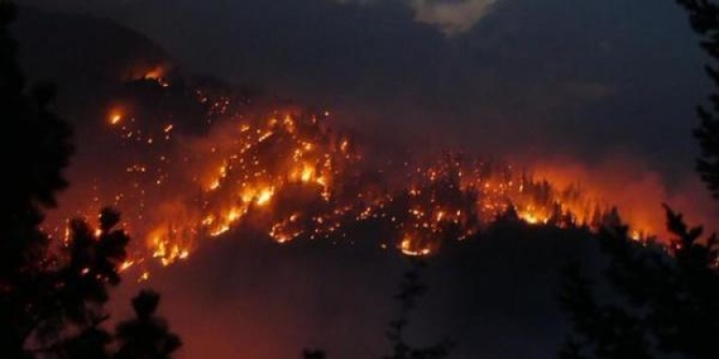 В Черногории эвакуировали граждан из-за пожара