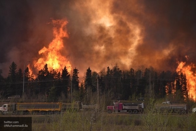 Практически 40 тыс. человек эвакуированы в Канаде из-за лесных пожаров
