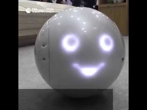 Японский робот-компаньон