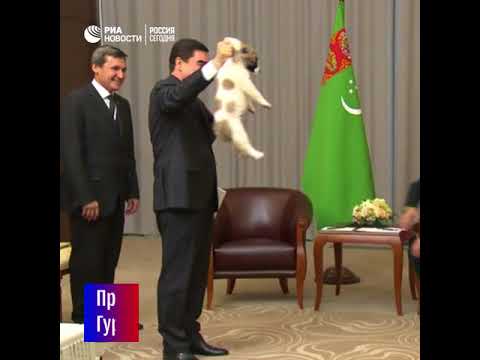 Путину подарили щенка по кличке Верный