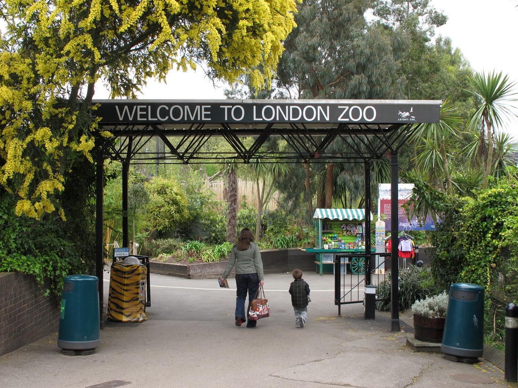 В Лондонском зоопарке произошел масштабный пожар