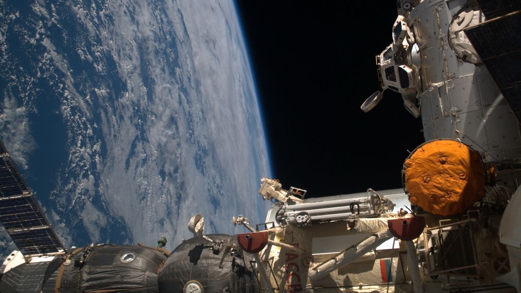 Космонавт поведал о бактериях, отысканных на обшивке МКС