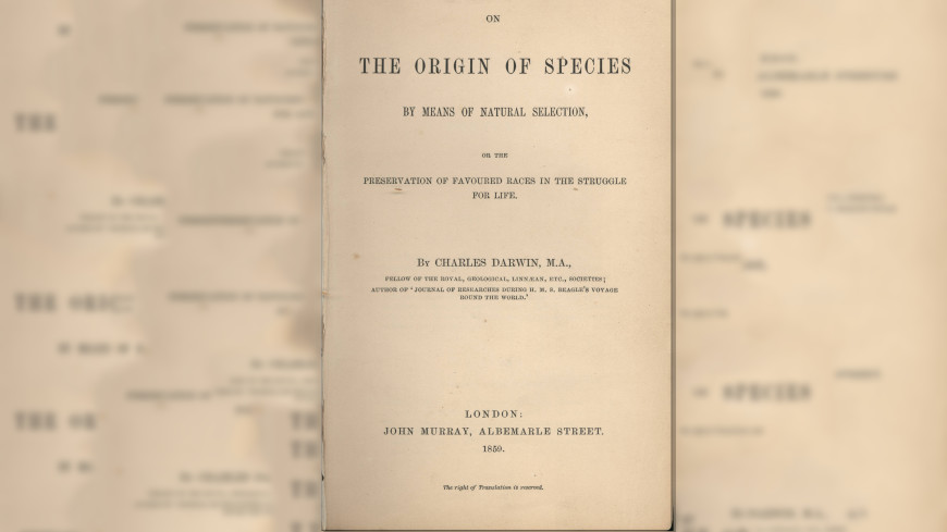 «Происхождение видов» с пометками Дарвина выставили на аукцион