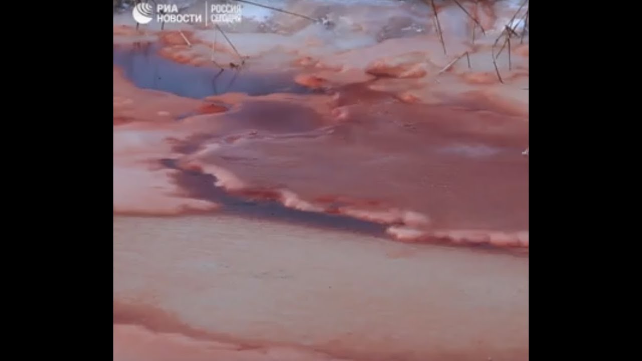 «Кровавая река» в Тюменской области
