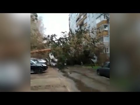 Мощный ураган накрыл Центральную Россию