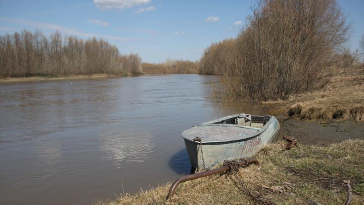 Число участков, подтопленных паводком на Алтае, выросло до 476