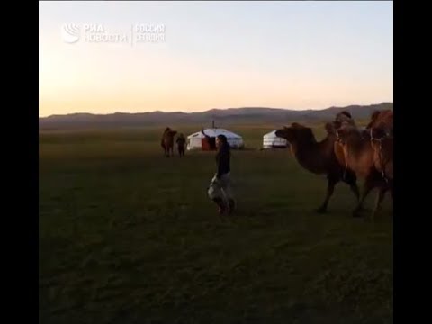 Путешественники из Монголии на верблюдах преодолевают Великий Шелковый путь