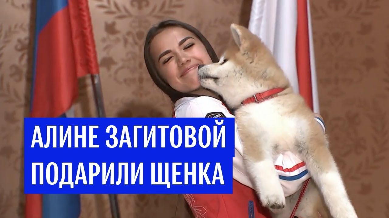 Российской фигуристке Загитовой подарили собаку породы акита-ину