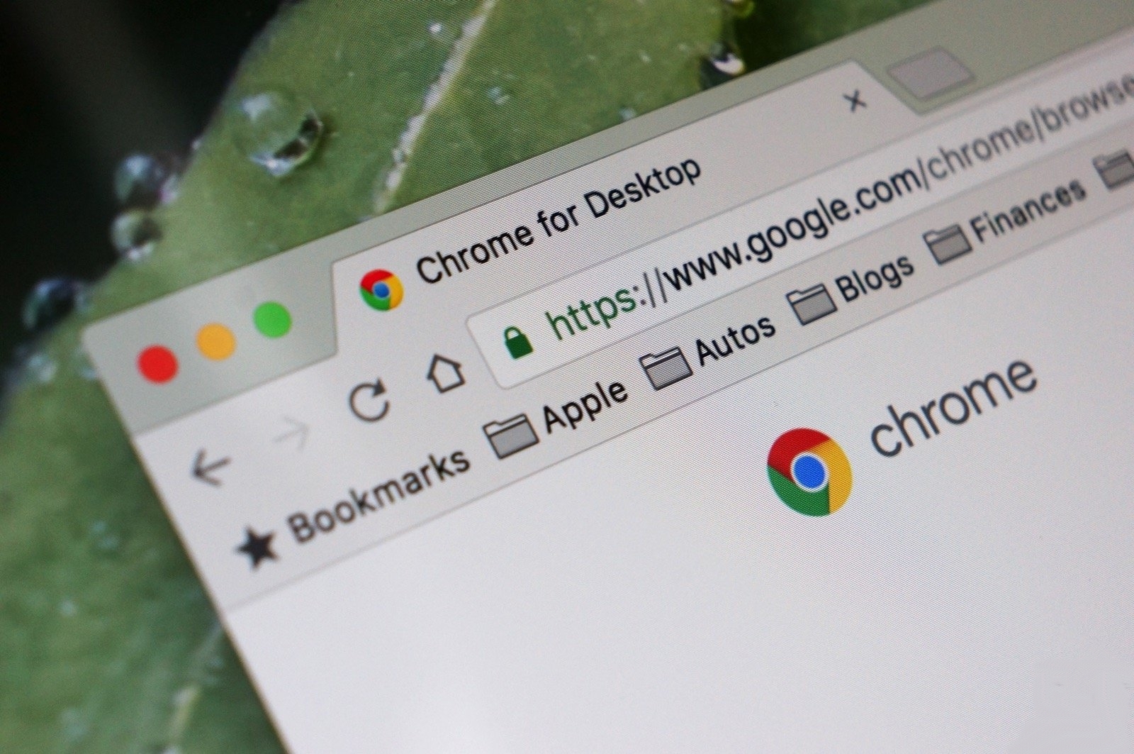 Google придумала, как защитить пароли в браузере Chrome
