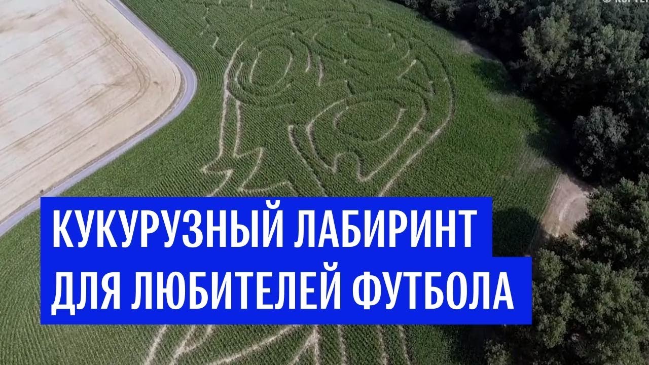 Кукурузный лабиринт к ЧМ-2018