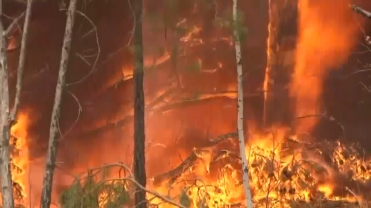 Иркутская область лидирует по площади лесных пожаров среди регионов РФ