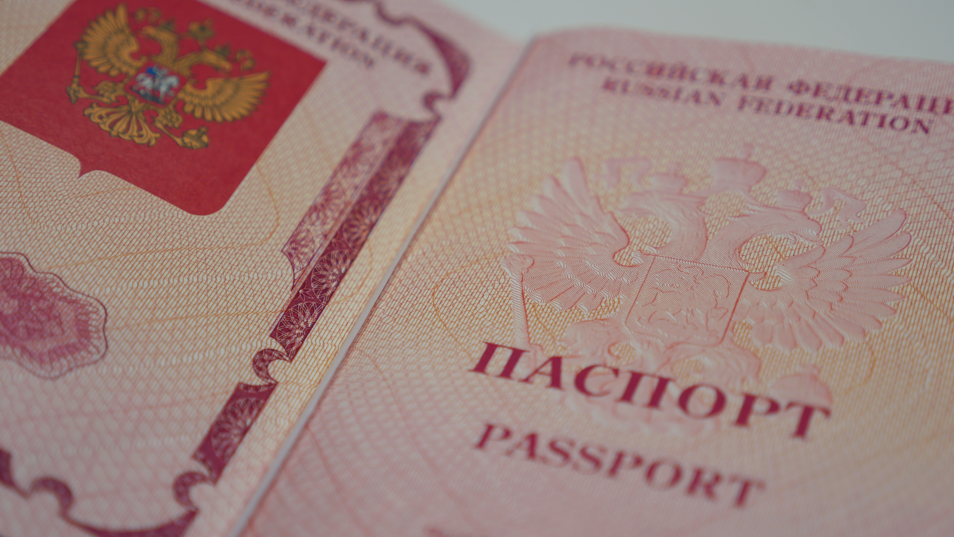 В Российской Федерации повысили госпошлины на водительское удостоверение и загранпаспорт