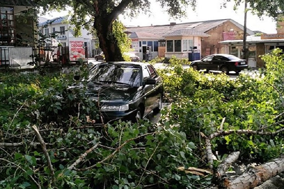 В Кисловодске после урагана ввели режим ЧС