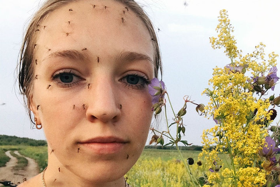 Россиянка шокировала пользователей Сети фото с десятками комаров