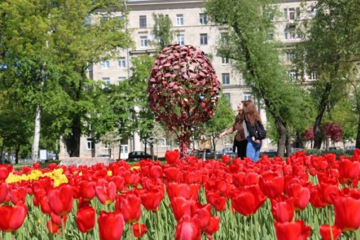В день рождения столицы горожане посадят 540 тыс. цветов
