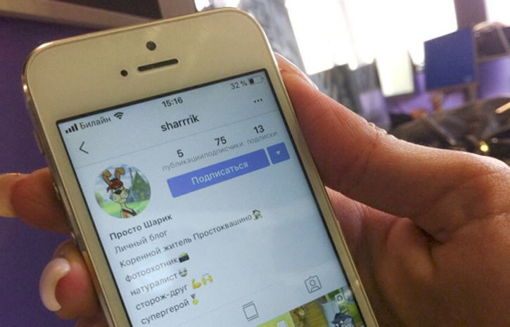 Персонаж Шарика из «Простоквашино» завел аккаунт в социальная сеть Instagram
