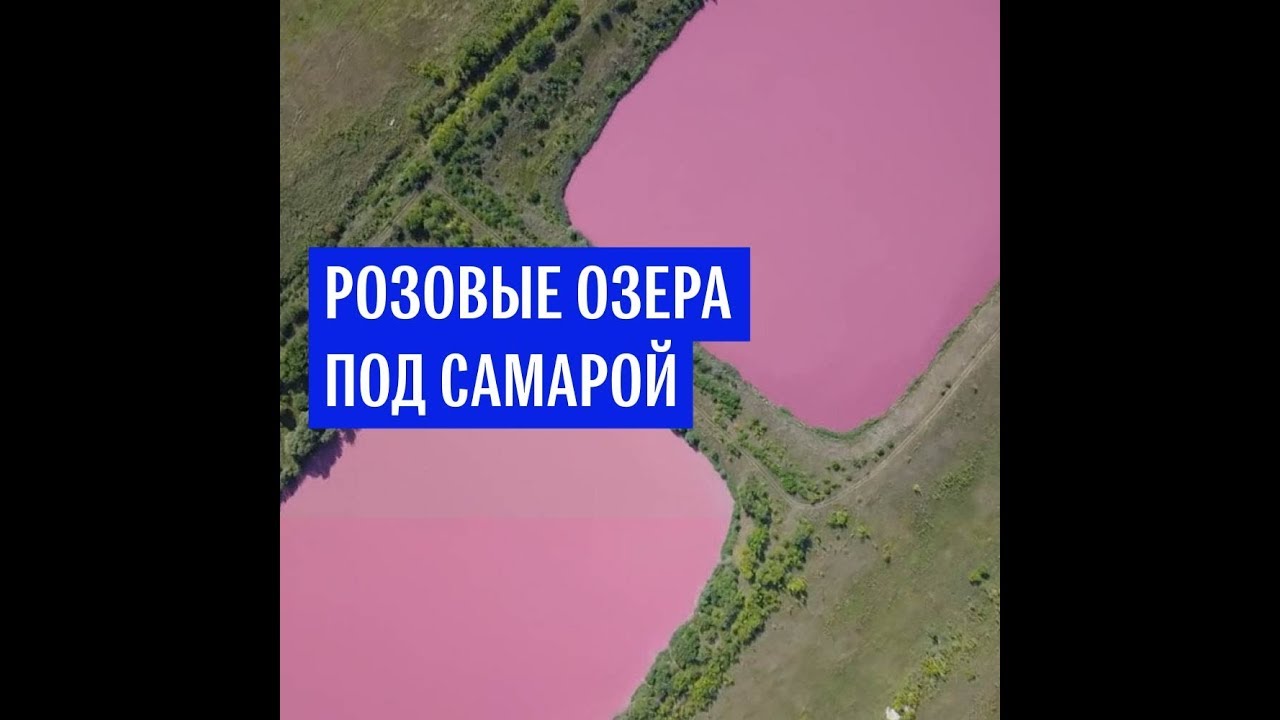 Розовые озера под Самарой