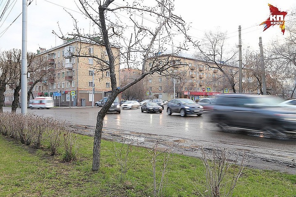 В Петербург возвратятся ливни и ветер — МЧС предупреждает