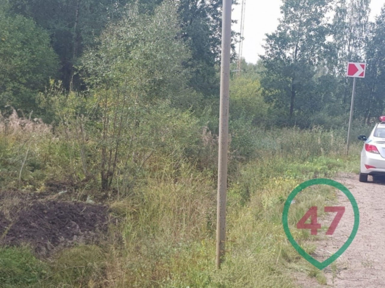 Пассажир 4 дня пролежал в разбитой машине рядом с трупом водителя