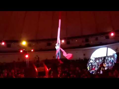 Акробатка из Красноярска упала с большой высоты в новокузнецком цирке