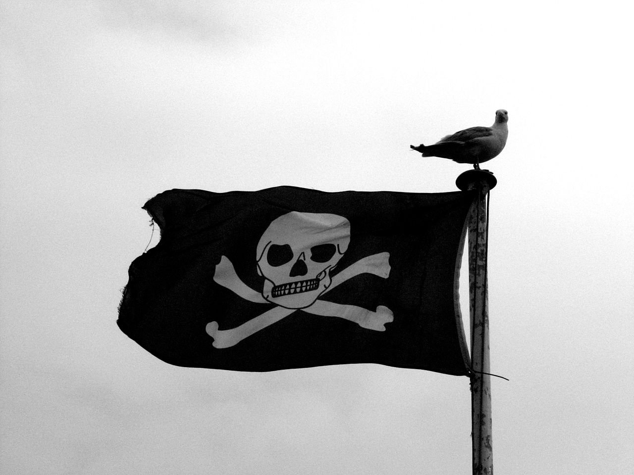 Меморандум по борьбе с пиратским контентом в сети интернет подпишут 1 ноября