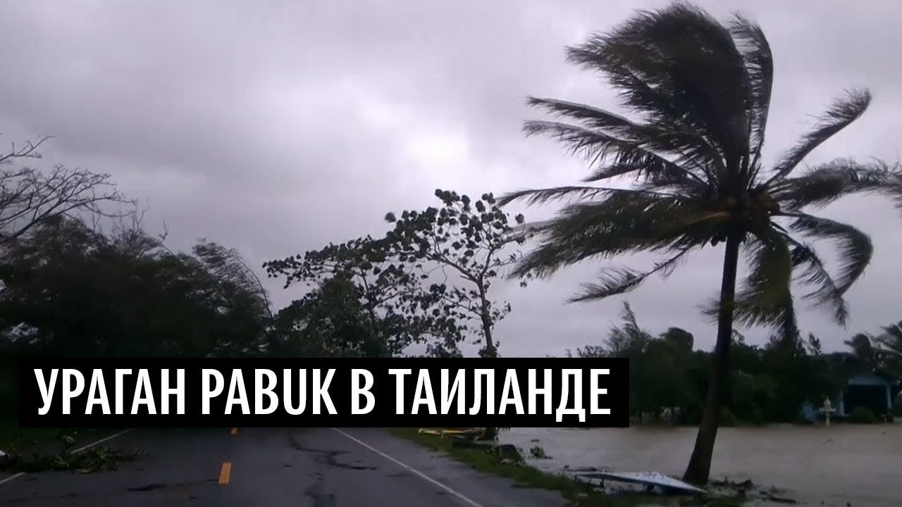 В Таиланде три человека погибли в результате урагана Pabuk