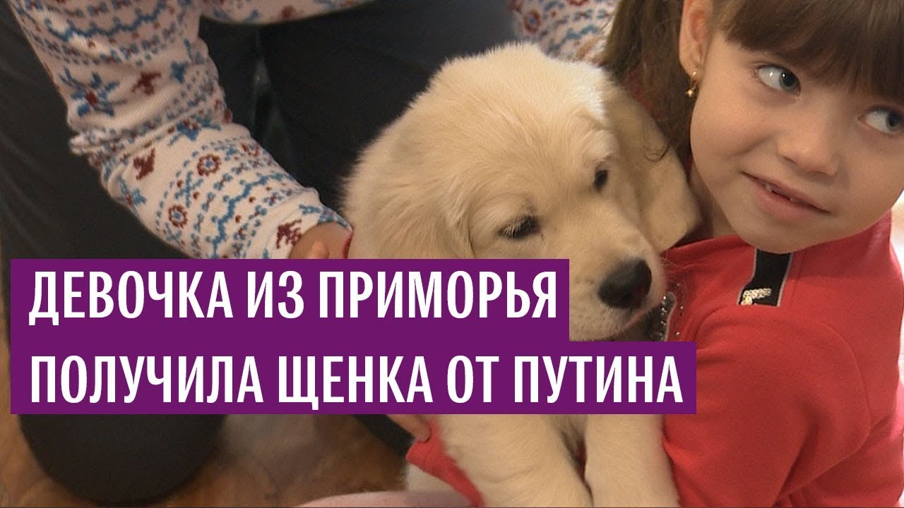Девочка из Приморья получила щенка от Путина