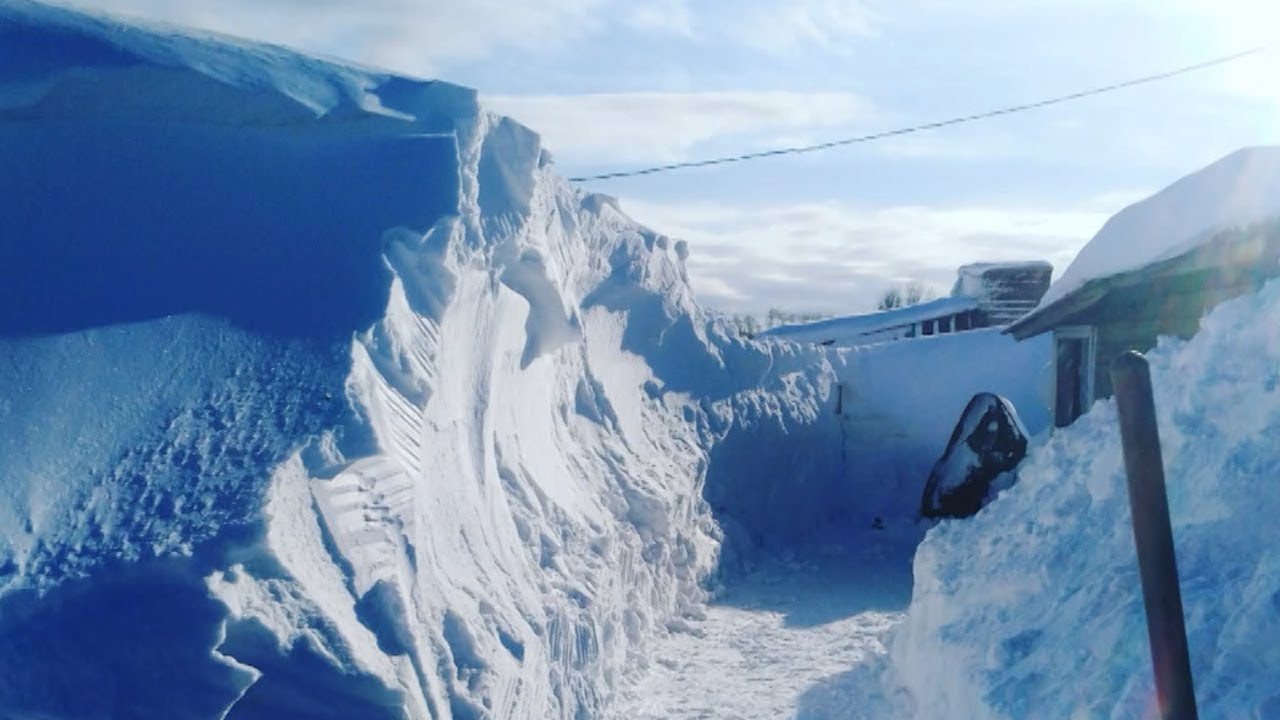 Целый поселок на Камчатке скрылся под снегом