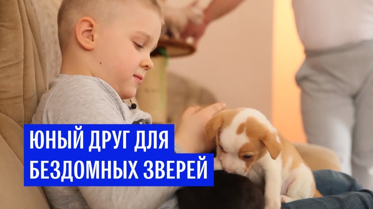 Шестилетний Ваня из Владикавказа спасает бездомных животных