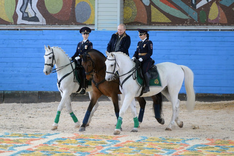 Путин подарил сотрудникам конной милиции орловского рысака
