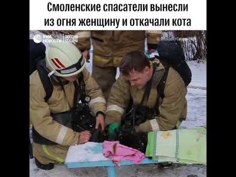 Смоленские спасатели вынесли из огня женщину и откачали кота
