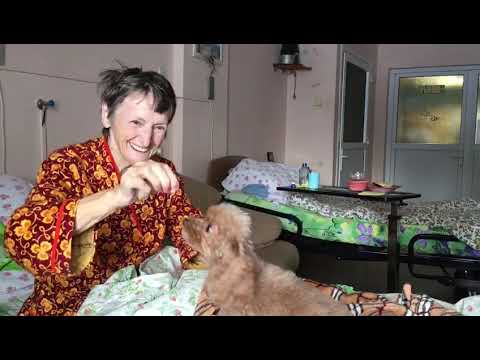 Нина Васильевна и собака Дуня — в хосписе