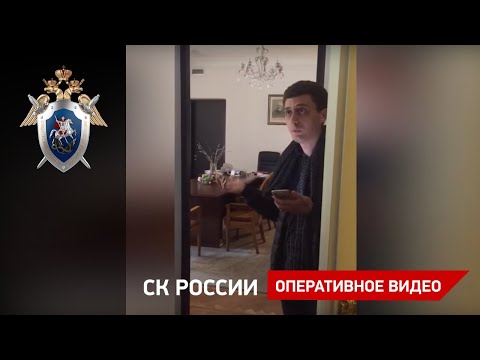 За издевательства над 8-летней девочкой в российской столице схвачен репетитор