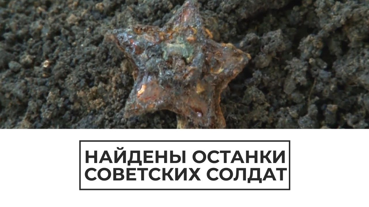 Найдены останки советских солдат