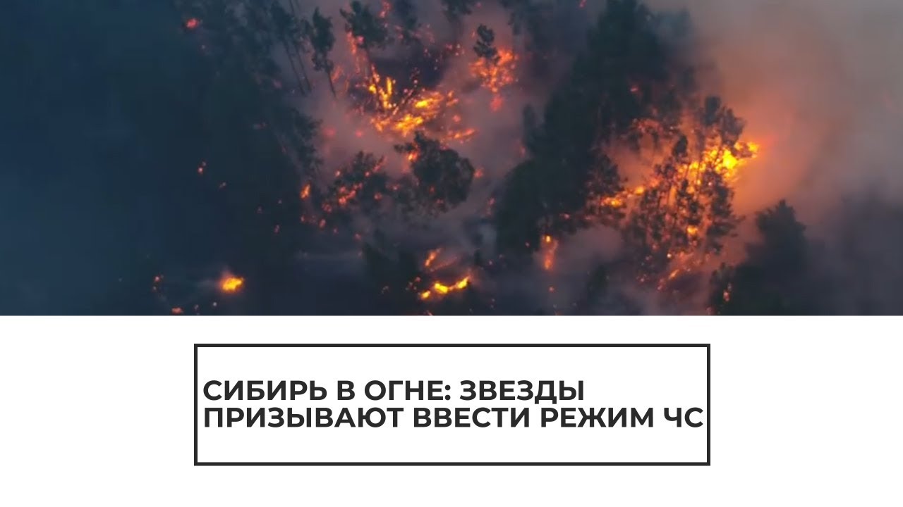 Сибирь в огне: звезды призывают ввести режим ЧС