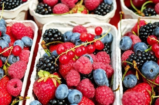 Государственная дума понизит НДС для плодово-ягодных культур — Володин