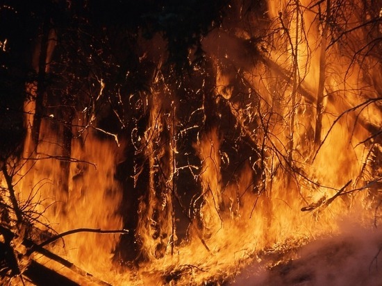 Ужасные пожары в Сибири будут тушить шаманы и искуственные дожди