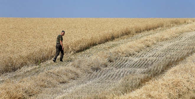 Зеленский отменит мораторий на реализацию украинских земель уже в 2015 г.