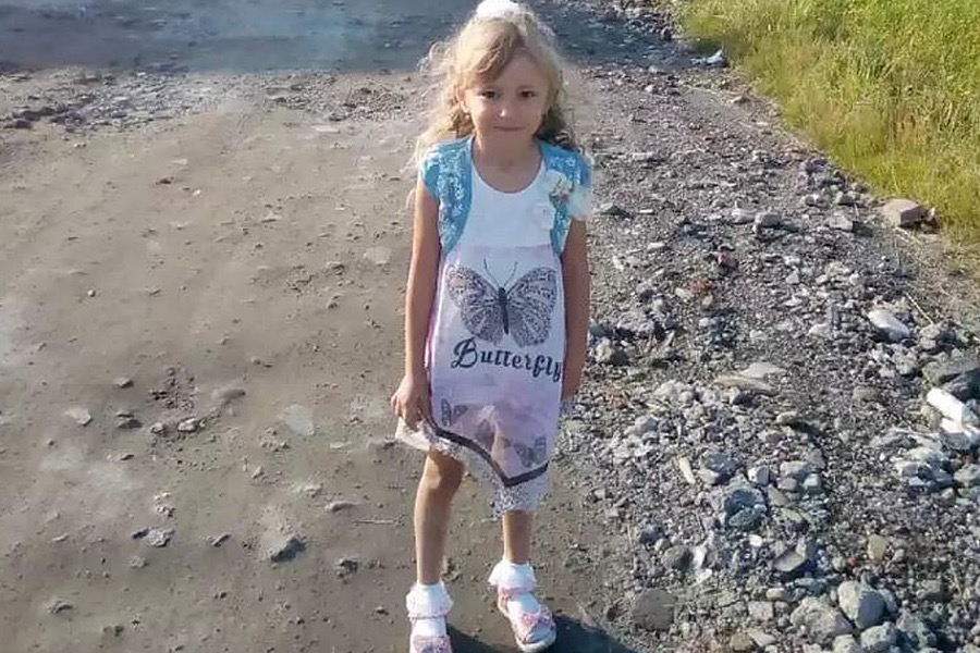 Пропавшая в лесу в Нижегородской области девочка найдена живой спустя трое суток
