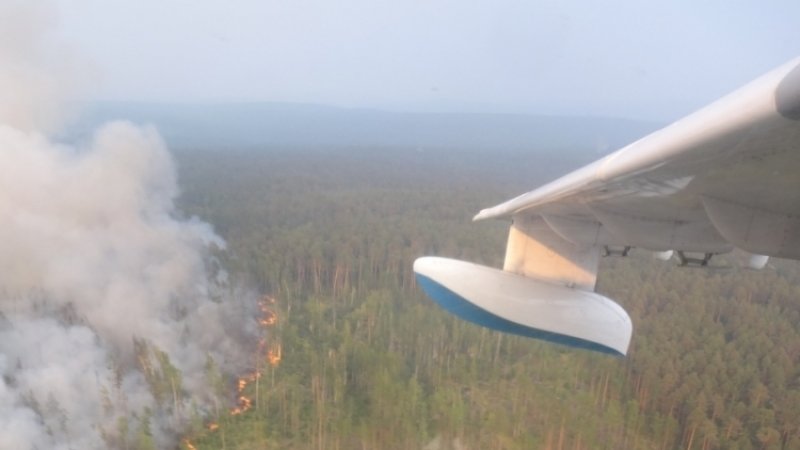 В Российской Федерации за сутки потушили 70 лесных пожаров