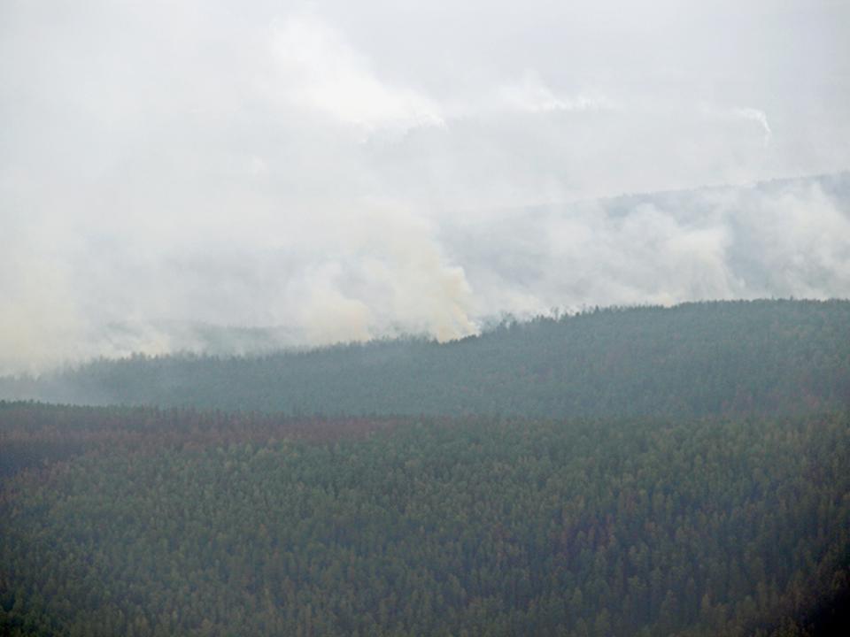 Площадь сибирских пожаров за сутки возросла на 8 тыс. гектаров